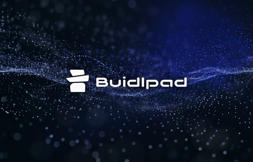 x10 in a Year: How BuidlPad Returns Money to Investors’ Hands