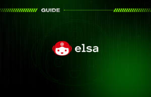 Гайд по Elsa AI: от регистрации до дропа