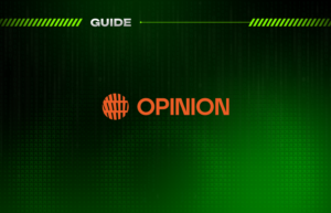 Opinion Guide: How to Turn Predictions into Profit