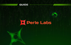 PerleLabs: фарм поинтов на Solana и заработок за обучение AI — полный гайд